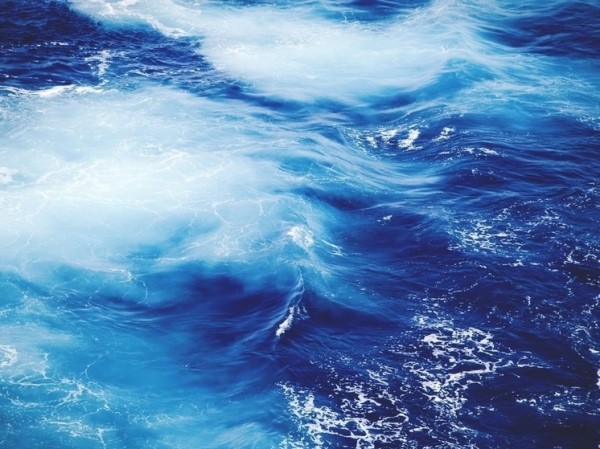 Научный скандал: отозвана статья об отсутствии доказательств климатического кризиса