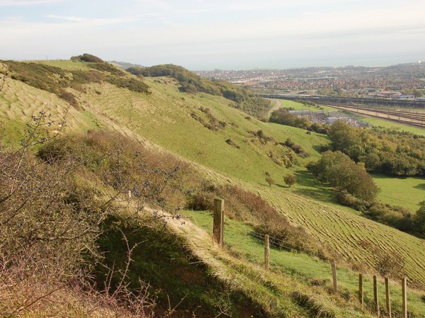Обнаруженный в Англии тотемный столб связали со славянским языческим богом: эквивалентен Тору
