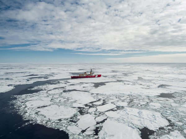 Ученых взбудоражило таяние льдов Антарктики: «Мы совершенно не готовы»