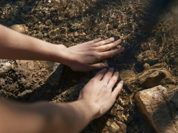 Ученые обнаружили ископаемую доисторическую медузу возрастом полмиллиарда лет