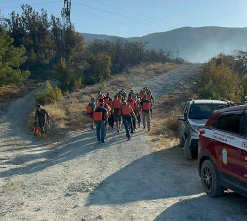 Площадь лесного пожара в Геленджике увеличилась до 118 гектаров Площадь лесного пожара в Геленджике увеличилась до 118 гектаров