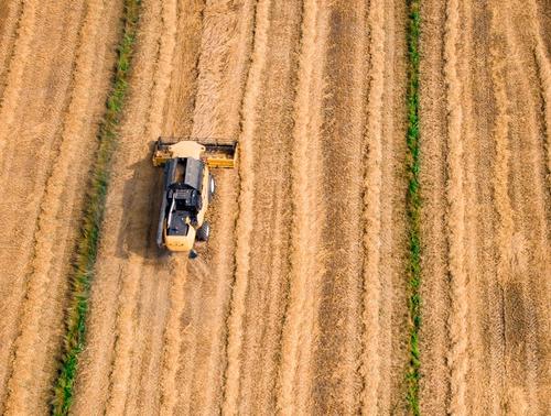 Путин: переговоры о безвозмездной поставке зерна странам Африки завершаются