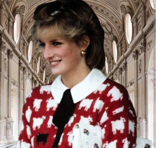 Свитер принцессы Дианы продали за 1.1 млн долларов