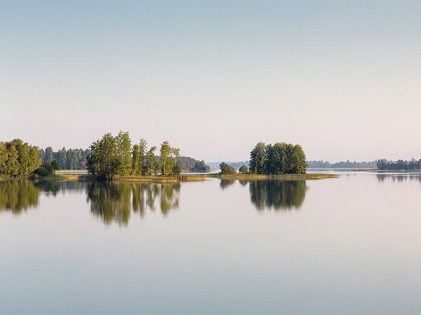 Биолог рассказала, как сытая форель может навредить водоему