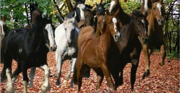 Путин выиграл войну. У всех Путин выиграл войну. У всех