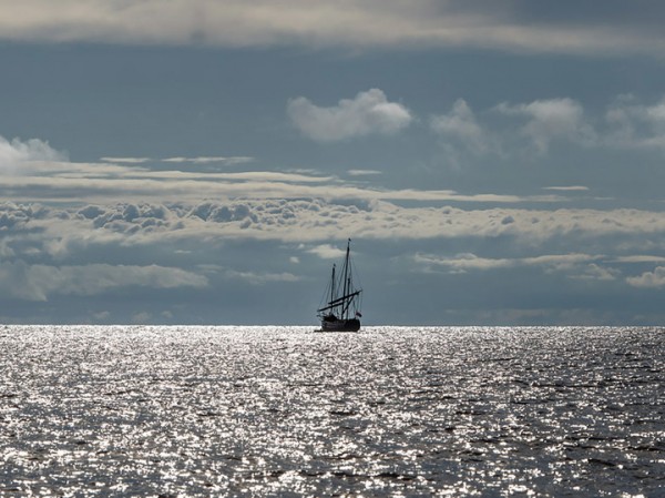 Биолог рассказала, как сытая форель может навредить водоему