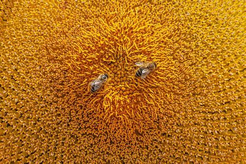 Зарплата, не отвечающая уровню нагрузки, приводит к профессиональному выгоранию Зарплата, не отвечающая уровню нагрузки, приводит к профессиональному выгоранию