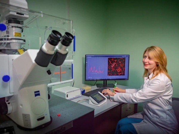 Российские ученые впервые рассмотрели процесс увядания мозга в чашке Петри