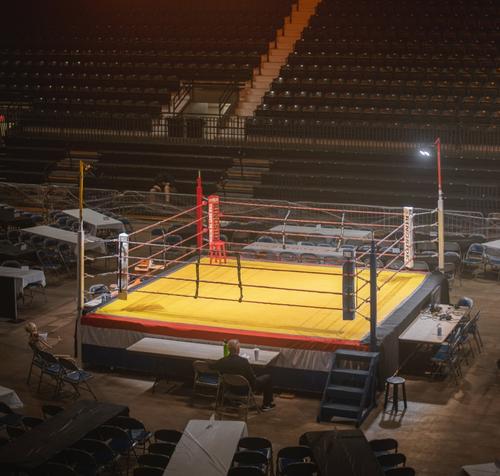 Боец ММА Владимир Минеев предлагает наказывать очерняющих страну граждан