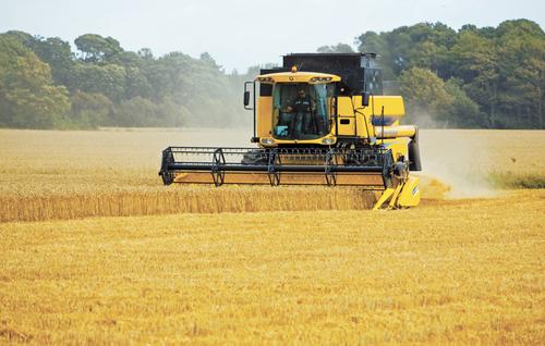 Академик РАН Салис Каракотов: Россия – экологически благополучная страна