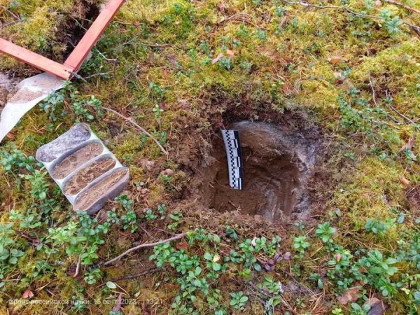 Российские ученые стали бурить деревья в поисках углеродного следа