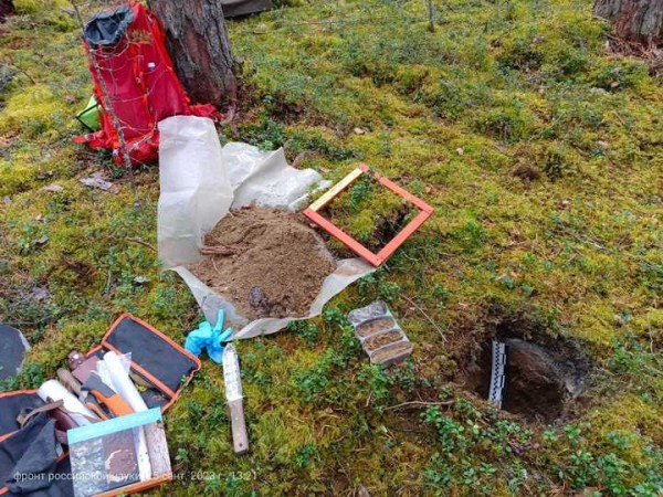 Российские ученые стали бурить деревья в поисках углеродного следа