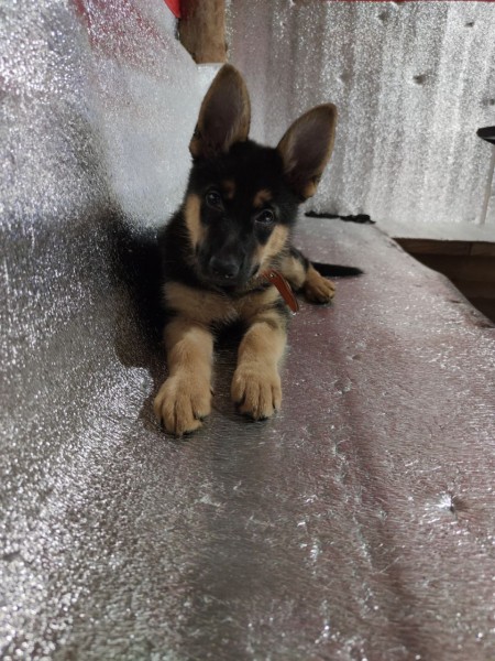 Километры фронтовых и мирных дорог