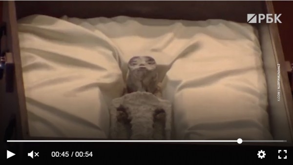 Они уже здесь