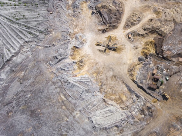 Найденный в Китае динозавр размером с фазана удивил ученых