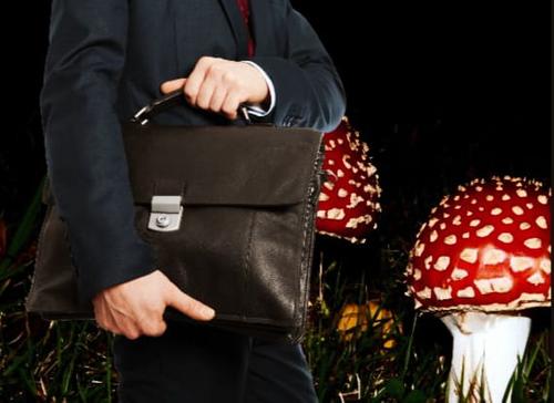 В России депутатам не дают покоя галлюциногены В России депутатам не дают покоя галлюциногены