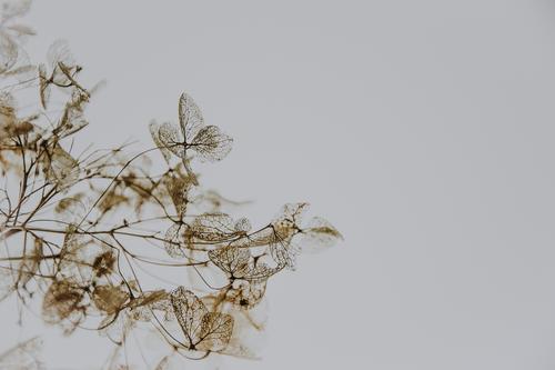 В Москве случайный прохожий нашел в кустах тело убитой женщины В Москве случайный прохожий нашел в кустах тело убитой женщины