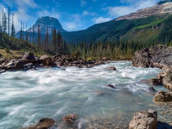 Доисторические следы заставили усомниться во времени заселения Америки людьми