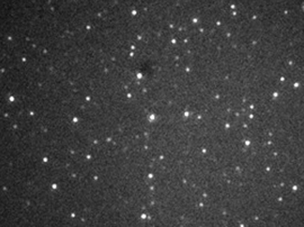 &laquo;Вечный краситель&raquo;: профессор Наумов объяснил за что вручили Нобелевку по химии