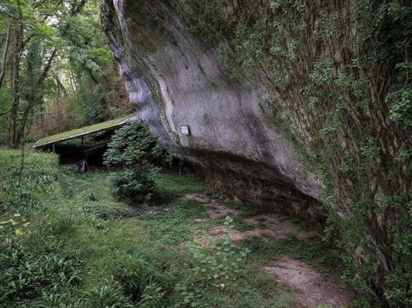 Ученые объяснили каннибализм древних жителей Европы: «Обычная практика»