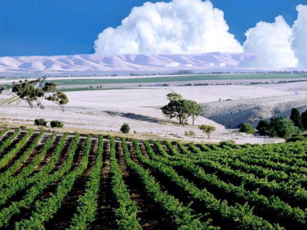 Всё, что говорят о Палестине - ложь Всё, что говорят о Палестине - ложь