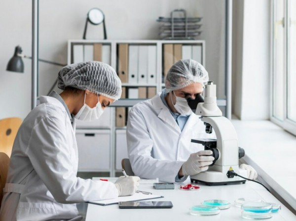 Прорывы в создании лабораторных моделей человеческих эмбрионов вызвали опасения ученых