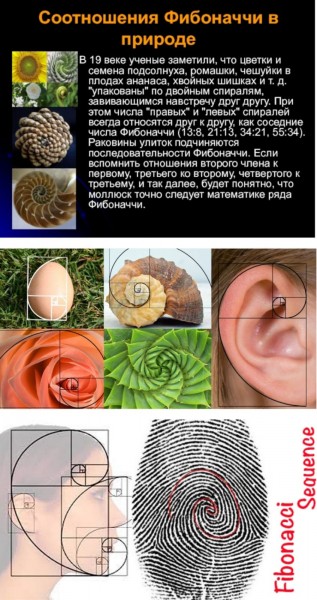 Существование Бога научно доказано