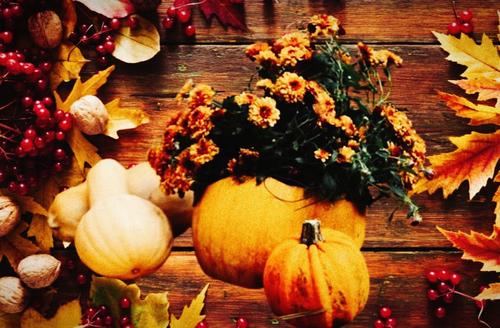 В России вместо Хеллоуина можно праздновать Осенины В России вместо Хеллоуина можно праздновать Осенины