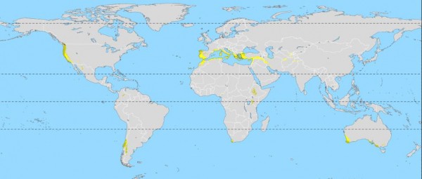 Всё, что говорят о Палестине - ложь Всё, что говорят о Палестине - ложь