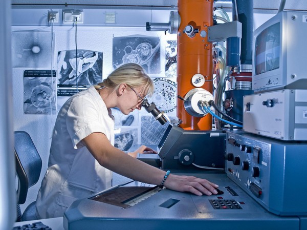 «Неизведанная территория»: ученые признали отсутствие данных по 2 миллионам видов грибов