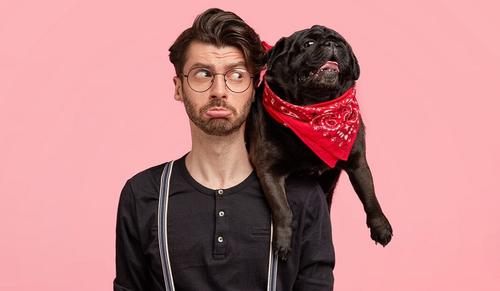 В Европе хотят стать собаками, кошками и зоофилами