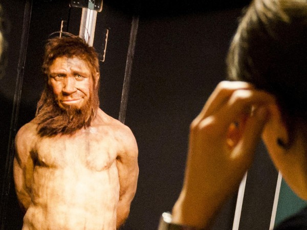 ДНК вшей сохранила подсказки об истории человечества