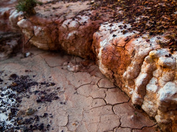 Землю адски загрязнили солью: она начала угрожать экологии