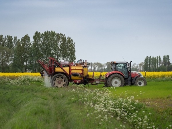 Полное вымирание: выявлена серьезная угроза тысячам видов растений и животных