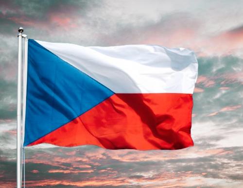 В Чехии миллионы протестуют за лучшее будущее В Чехии миллионы протестуют за лучшее будущее