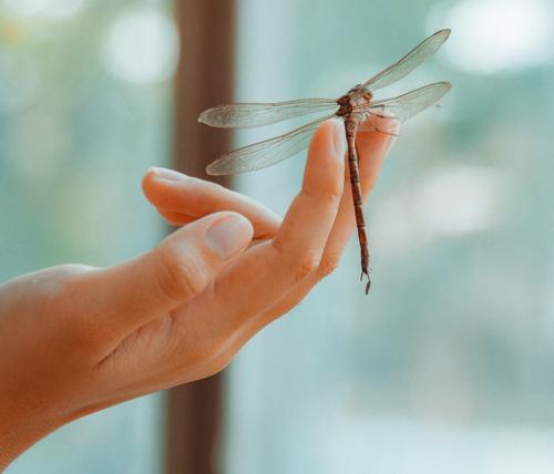 Мысли материальны, научно доказано
