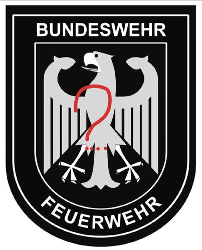 ФРГ увеличивает поставки оружия и боеприпасов Украине 