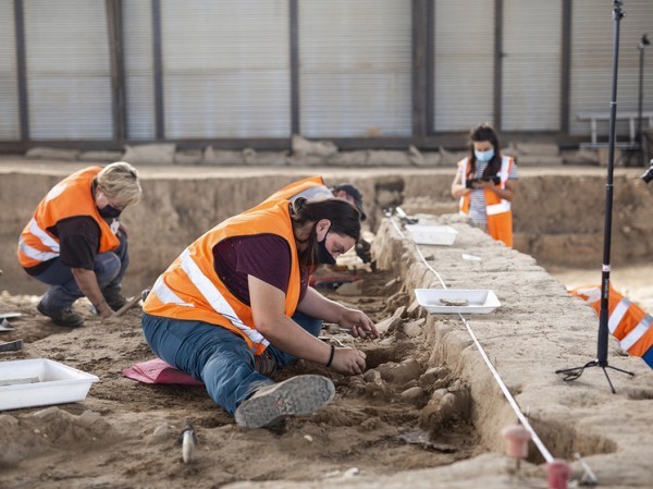 Найдены скелеты древнейшей крупномасштабной войны в Европе