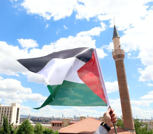 Британец выпустил грызунов в McDonald’s в поддержку Палестины