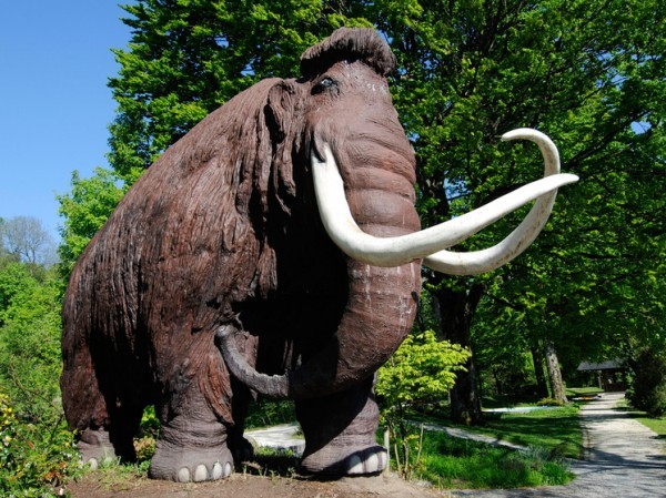 Ученые собрались воскресить мамонтов и птицу додо: спасли бы климат Земли