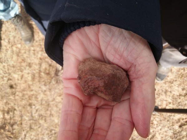 Столичный ученый нашел осколок крупнейшего каменного метеорита XX века