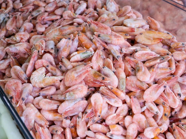 Учёные нашли креветок на деревьях Новой Гвинеи: «Потерянные виды»