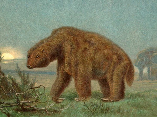 «Хомяк размером со слона» вырыл туннель более 10 тысяч лет назад