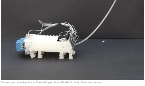 Нападение робота Tesla на человека: «Жидкий из терминатора» и другие реалии нашего времени