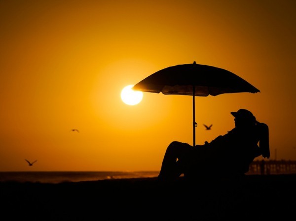 2023 год официально признан самым жарким за всю историю человечества