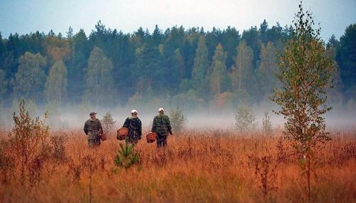 Несмотря на декабрь в Крыму грибы морочат людям головы