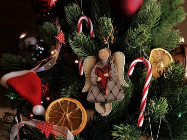 Названы секреты выбора новогодней елки «по-научному»: время и место