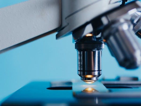 Узнать биологический возраст: объяснено наличие у людей клетки разного возраста