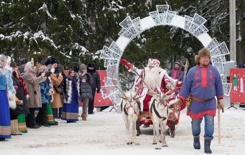 Главную новогоднюю елку России спилили в подмосковном Фряново Главную новогоднюю елку России спилили в подмосковном Фряново