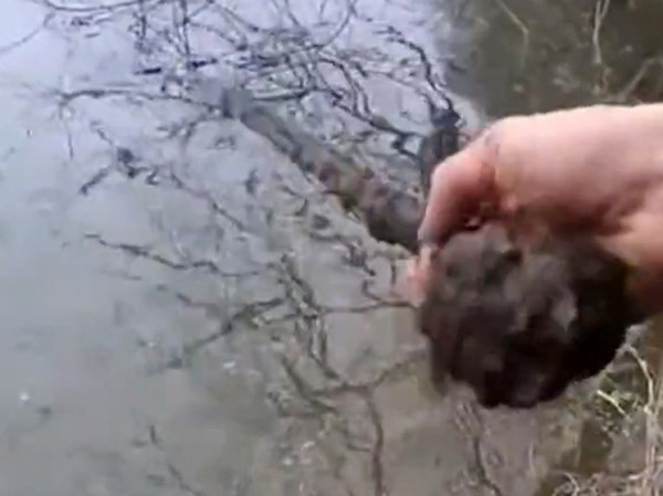 «Рыбак» с магнитом нашел в реке старинный меч времен Гражданской войны